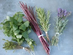 Aus Wildkräutern und Unkräutern kann man mit etwas Kreativität lukullische Genüsse zum Essen und Trinken herstellen. (Foto: sigrid rossmann / pixelio.de)