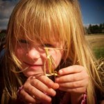 Foto: Hilde Vogtländer/pixelio.de Gründlich die Haare durchzukämmen ist das Einzige, das hilft, wenn dem Kind die Laus über die Leber gelaufen ist. (Foto: Hilde Vogtländer/pixelio.de)