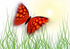 Schmetterling fliegt zur Sonne