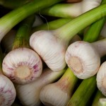 Gartenarbeit im Herbst: Wie man jetzt schon dem Frühling den Boden bereitet