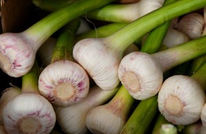 606957_web_R_K_B_by_Petra Bork_pixelio.de Frischen Knoblauch kann man auch selbst ernten - indem man im Herbst einzelne Zehen in die Erde steckt. (Foto: Petra Bork/pixelio.de)