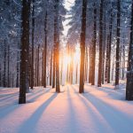 7.12. Die kreative Kraft der Pause