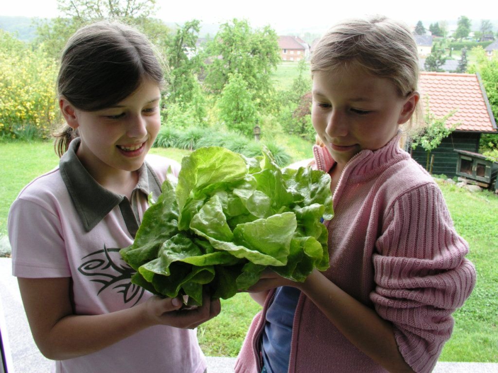 Frischer Salat 2 <mädchen freuen sich über den frischen Salat