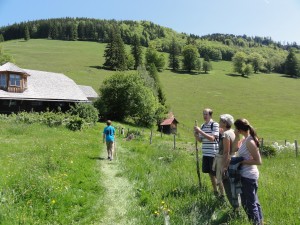 Almwanderung