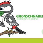 Das Grünschnabel-Herbstprogramm 2019