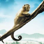 Familienkino: Amazonia
