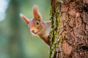 Foto: Fotolia/Vojtech Herout