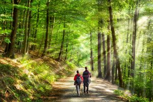"Waldbaden" - beim bewussten Aufenthalt im Wald Energie tanken. Foto: Fotolia/eyetronic