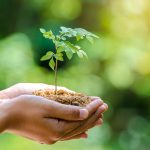 Ausstellung “Wald und Gesundheit”