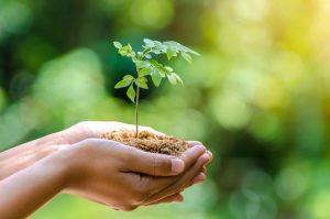 Die Ausstellung "Wald und Gesundheit" führt vor Augen, in wie vielen Facetten der Wald zu unserem Wohlbefinden beiträgt. Foto: Fotolia/sarayut_sy