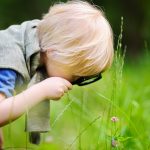 Die tägliche Dosis Natur