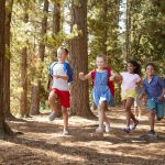 Im Wald Körper und Geist stärken