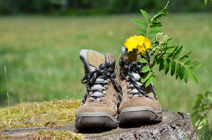 Wanderschuhe Sommer Pause Wandern Wanderschuhe mit Blume
