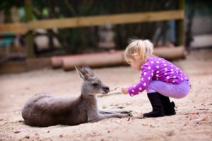 Bild: Kind mit Känguruh