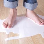 Verschüttete Milch und die Wildschwein-Frage