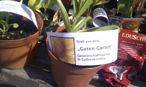 Blumentopf mit Schild "Ein Gruss vom Guten Garten"