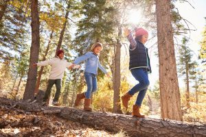 Statt Schulbank drücken wird im Wald gelernt bei einem Pilotprojekt an einer NMS in Wien. Foto: Fotolia/Monkey Business