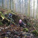 Infoabend zu neuem Waldkindergarten in Sonnberg