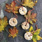 Vogelfutter selbst gemacht