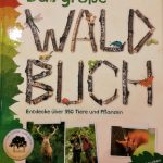 Gute Wald- und Naturbücher für Kinder