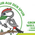 Grünschnabel Wels: Das ist los!