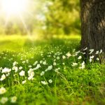 Spielplatz Natur