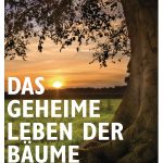 Wunderwelt Wald