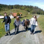 Abenteuerlustige Urlaubsideen für Familien in Österreich