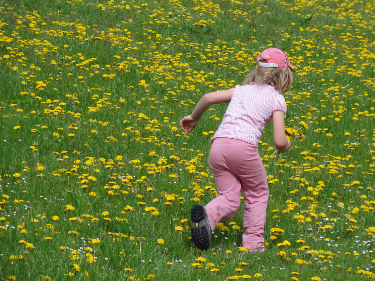 Kind läuft durch die Blumenwiese