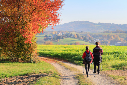 zwei Wanderer auf einem Wanderweg