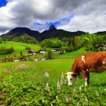 Die etwas andere Art zu reisen
