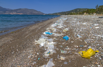 Bild: schmutziger Strand