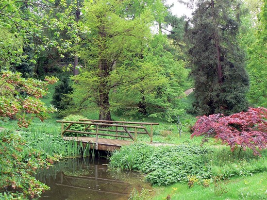 Garten mit Brücke und Teich