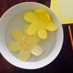 Experiment mit Wasser-Papier-Blumen
