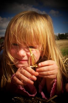 Gründlich die Haare durchzukämmen ist das Einzige, das hilft, wenn dem Kind die Laus über die Leber gelaufen ist. (Foto: Hilde Vogtländer/pixelio.de)