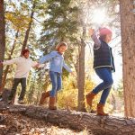Wald-Memory und Zapfen-Zielwurf