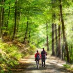 Waldbaden – was ist das?