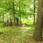 FAQs zu Waldkindergärten